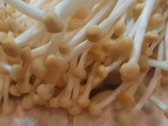 -大妙火锅·非物质文化遗产(东湖公园店)