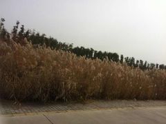 -赛汗塔拉风情园