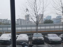 -艾贝尔宠物医院·24H转诊中心·肿瘤猫专科(江宁双龙店)