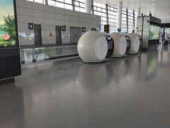 -郑州新郑国际机场-T2航站楼