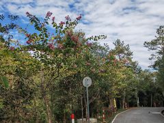 -广州白江湖森林公园