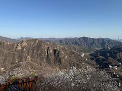 -大岭沟猕猴桃谷风景区