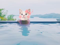 -天目湖涵田半山温泉