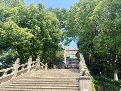 -阅江楼风景区