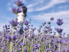 -新疆国际大巴扎