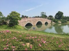 -瑶湖郊野森林公园