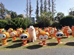 -上海长兴岛郊野公园