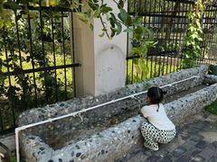 -童学园幼儿园(良庄西街)