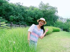-羊山湖公园