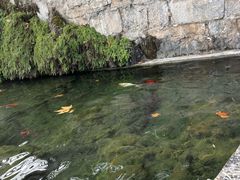 -隋唐大运河文化博物馆