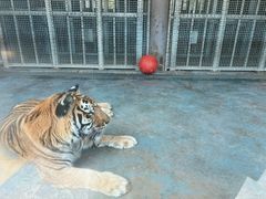 -无锡动物园·太湖欢乐园