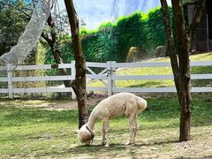 -云栖山谷野奢营地