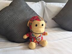 -常州环球恐龙城维景国际大酒店