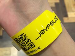 -上海JOYPOLIS环游嘉年华主题乐园
