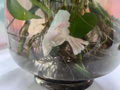 -浪里白·家宴(安德门大街店)