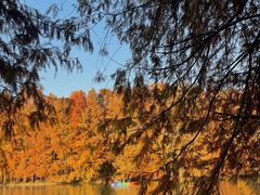 -上海海湾国家森林公园