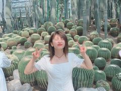 -南山植物园