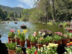 -深圳仙湖植物园
