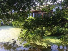 -杭州花家山庄