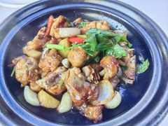 -鸽小宝(深圳首店)