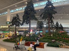 -青岛胶东国际机场