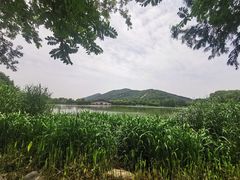 -蠡湖大桥公园