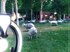 -九十九顶毡房(阜石路店)