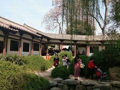 -西安青龙寺遗址景区