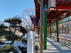 -南长河公园