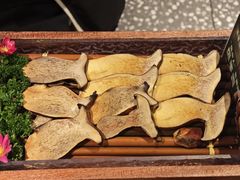 -季季山·云南野生菌火锅(上海首店)