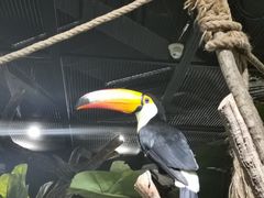 -海合安武汉极地海洋公园