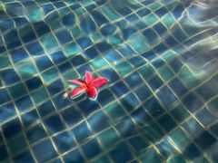 -三亚海棠湾万丽度假酒店