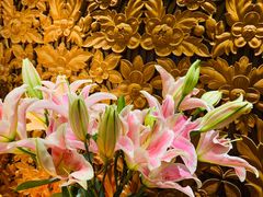 -紫莲花足道(柯桥古镇店)
