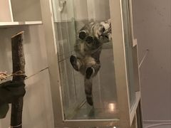 -娜娜家•Nana’Garden (福州道店)