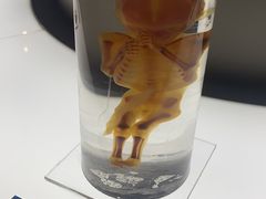 -生命奥秘博物馆
