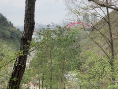-马口生态公园