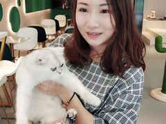 -飞行喵MR PILOT|猫舍·猫咖(静安大融城店)