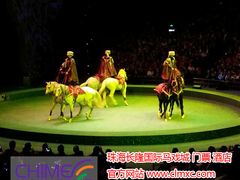 -珠海横琴长隆《卡卡虎奇遇记》