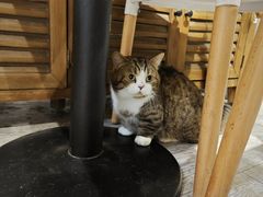 -小时光咖啡馆(北锣鼓巷店)