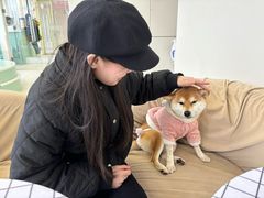 -怪兽屋·羊驼·猫咖·狗咖(俊华广场店)