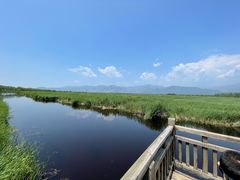 -野鸭湖国家湿地公园