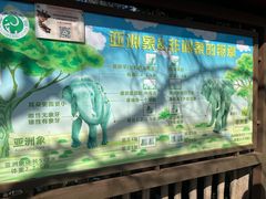 -昆明动物园