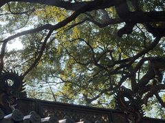 -普陀山风景名胜区-法雨禅寺