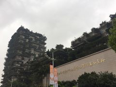 -碧桂园总部(碧江大桥店)