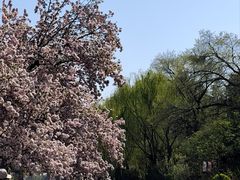 -元大都城垣遗址公园