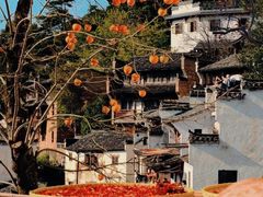 -婺源风景区