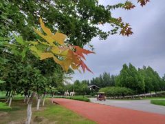 -永定河休闲森林公园