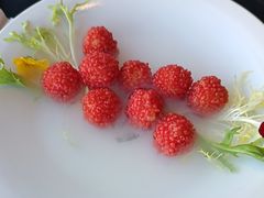 -鼓楼东街老火锅(鼓楼店)