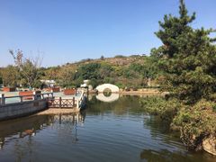 -白马涧龙池景区