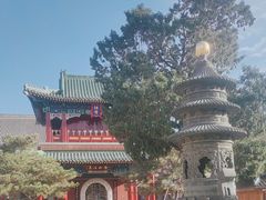 -天津大悲禅院